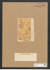 Schizonema torquatum W. Sm. (de-Toni-Nr.: Genus 20, Species 1194) Zeichnungen Sammlung Grunow Nr. 2301 (NHMW-BOT-W0369423)